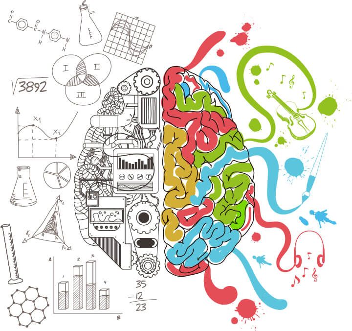 Kreatives denken: Illustrierung und Stilisierung der zwei Hirnhälften